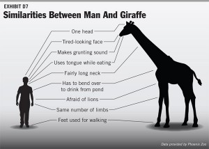 Similarities Between Man And Giraffe